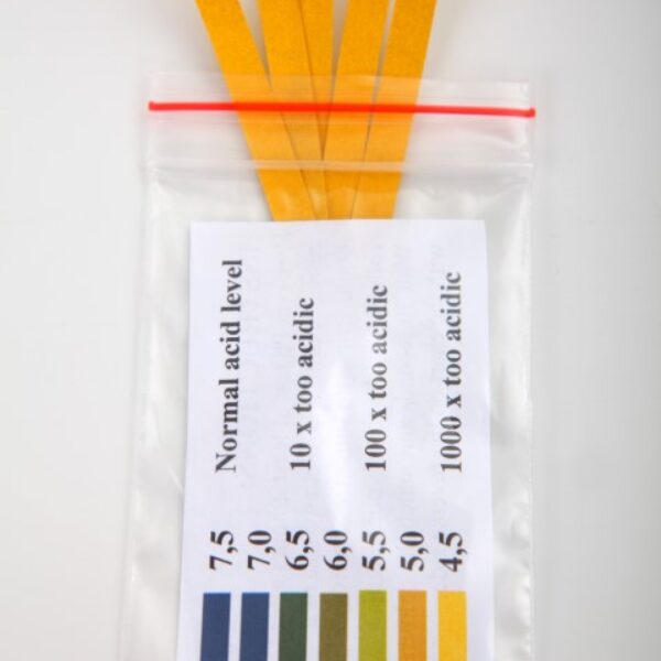 Litmus Paper Kit